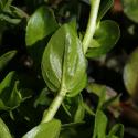 VTax4765.Ex1_.Img8_.JPG