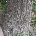 VTax4771.Ex1_.Img3_.jpg