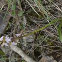 VTax4775.Ex1_.Img1_.JPG