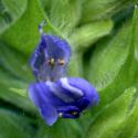 VTax4778.Ex1_.Img13.jpg