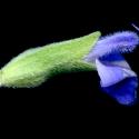VTax4778.Ex1_.Img16.jpg