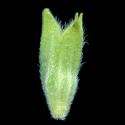 VTax4778.Ex1_.Img17.jpg