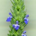 VTax4778.Ex1_.Img5_.jpg