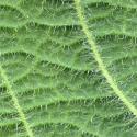 VTax4778.Ex1_.Img6_.jpg
