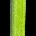 VTax4778.Ex1_.Img8_.jpg