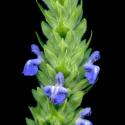 VTax4778.Ex1_.Img9_.jpg