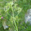 VTax2899.Ex1.Img3