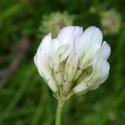 VTax786.Ex1.Img5