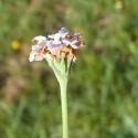 VTax2543.Ex1.Img4
