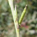 VTax1031.Ex1.Img6