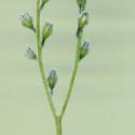 VTax2367.Ex1.Img4