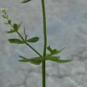 VTax2825.Ex2.Img3