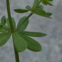VTax2825.Ex2.Img5