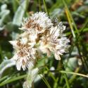 VTax3036.Ex1.Img3