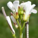 VTax1074.Ex1.Img3