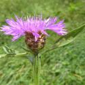 VTax3255.Ex1.Img4