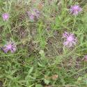 VTax3255.Ex1.Img5