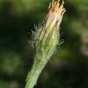 VTax3314.Ex1.Img4