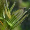 VTax3314.Ex1.Img7