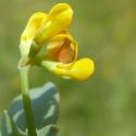 VTax855.Ex1.Img5
