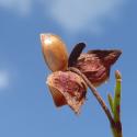 VTax1265.Ex2.Img5