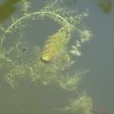 VTax2767.Ex1.Img2
