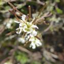 Img.VTax1006.Ex1.Img6