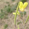 Img.VTax1033.Ex1.Img6