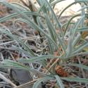 Img.VTax1048.Ex1.Img5