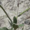 Img.VTax1051.Ex1.Img5