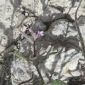 Img.VTax1051.Ex1.Img6