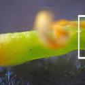 Img.VTax1070.Ex2.Img1