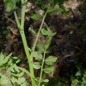 Img.VTax1075.Ex2.Img3