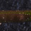 Img.VTax1079.Ex1.Img2