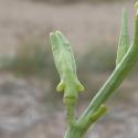 Img.VTax1123.Ex2.Img5