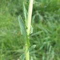 Img.VTax1128.Ex3.Img3
