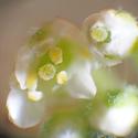 Img.VTax1134.Ex1.Img8