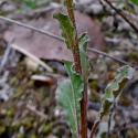 Img.VTax1222.Ex4.Img6