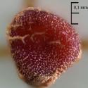 Img.VTax1227.Ex1.Img3