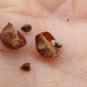 Img.VTax1229.Ex3.Img5