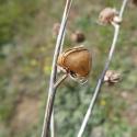 Img.VTax1240.Ex2.Img6