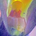 Img.VTax1306.Ex2.Img3