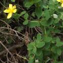 Img.VTax1319.Ex2.Img3