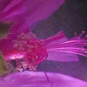 Img.VTax1339.Ex2.Img3