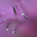 Img.VTax1339.Ex2.Img4