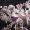 Img.VTax1341.Ex2.Img7