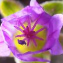 Img.VTax1373.Ex3.Img5