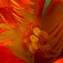Img.VTax1423.Ex2.Img8