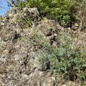 Img.VTax1438.Ex1.Img6