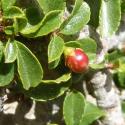 Img.VTax1485.Ex1.Img5